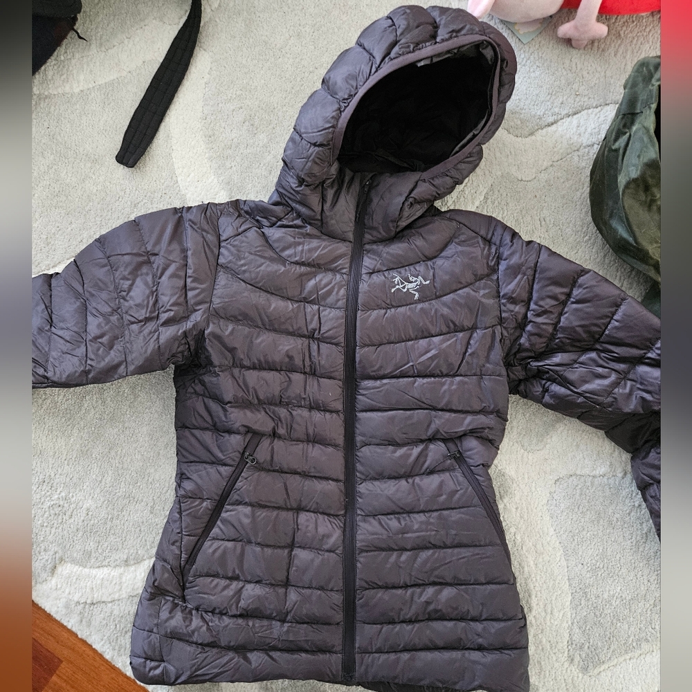 Arc'teryx Dark Burgundy Hooded Puffer Jacket